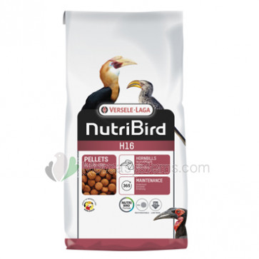 Versele Laga NutriBird H16 10kg. Unterhaltsfutter für Nashornvögel.