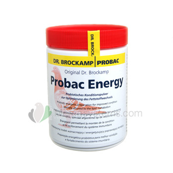 Probac Energie 500gr (Probiotische Energizer Ausdauer während der Reise zu erhöhen, Zucht und Mauser). Für Tauben. 