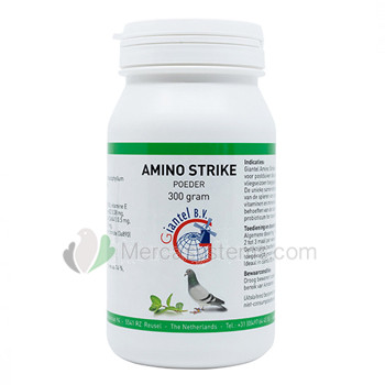Giantel Amino Strike 300gr (hochwertige Proteinergänzung). Für Brieftauben