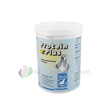 Backs Protein Plus 400 gr (tierische Proteine und Mannan-Oligosaccharide). Brieftauben Produkte