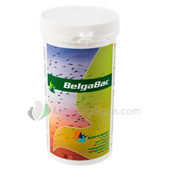 Belgica De Weerd BelgaBac 300g Tube (probiotischen Elektrolyte). Brieftauben Produkte (