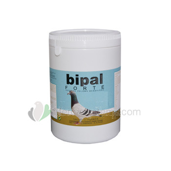 Bipal Forte 1 kg, (Premium hochwertigen Probiotika, Vitamin, Mineralstoffen und Aminosäuren).
