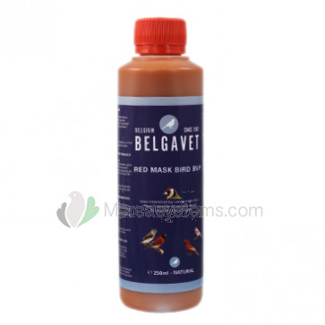 BelgaVet Redmask Bird 250ml (100% natürliches rotes Pigment). Für Käfigvögel