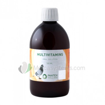 Pantex Multivitamine 500 ml (konzentriertes Multivitamin)