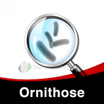 Individuelle Behandlung gegen Ornithose bei Tauben