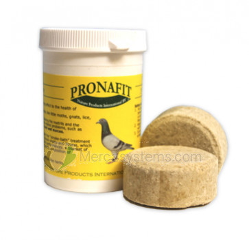 Pronafit Pro-Smoke (Rauch Bomben). Desinfizieren Sie den Dachboden und die Reinigung der Nase und Bronchien