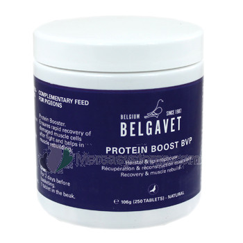 Belgavet Protein Boost 250 Pillen (Proteine von höchster Qualität für eine perfekte Regeneration). Für Brieftauben