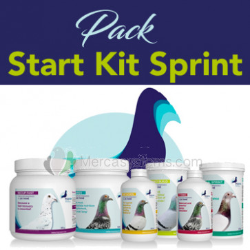 PHP Start Kit Sprint (6 Produkte). Alles was Sie für Kurzstreckenrennen brauchen