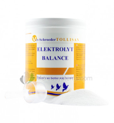 Tollisan Elektrolyt-Balance 500 gr, (oben hochwertigen Elektrolyt)