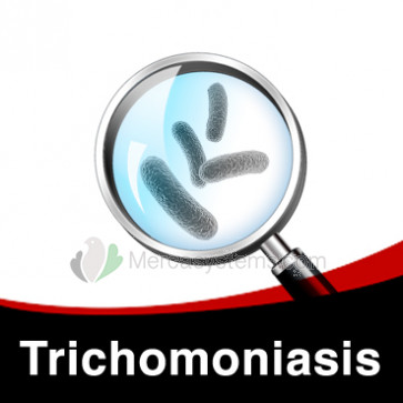 Behandlung gegen Trichomoniasis bei Vögeln
