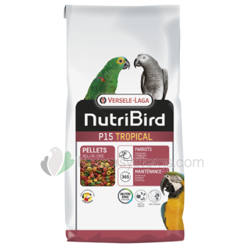 NutriBird P15 Tropical 3kg (ausgeglichen komplette Wartung Futter für Papageien)