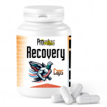 Prowins Recovery Caps