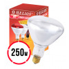 Helios Infrarot Weiß Lampe 250W (Weiße Infrarot Heizlampe für die Zucht)