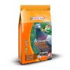 Versele Laga Colombine Carrot Corn 2kg (Nahrungsergänzungsmittel für Tauben)
