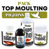Pack Prowins Top Moulting Pigeons, (alles beginnt mit einer ausgezeichneten Mauser)