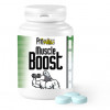 Prowins Muscle Boost 120 Tabletten, (Hochleistungs-Muskel-Booster angereichert mit Ginseng.) Für Brieftauben.