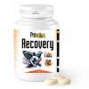 Prowins Recovery Tabs 100 + 25 Kostenlose Tabletten (sofortige und vollständige Wiederherstellung). Für Brieftauben.