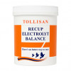 Tollisan Recup Elektrolyt Balance 500 gr, (oben hochwertigen Elektrolyt)